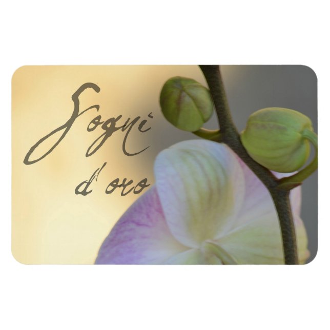 Sogni D'oro (sweet dreams) Orchid Magnet (Horizontal)