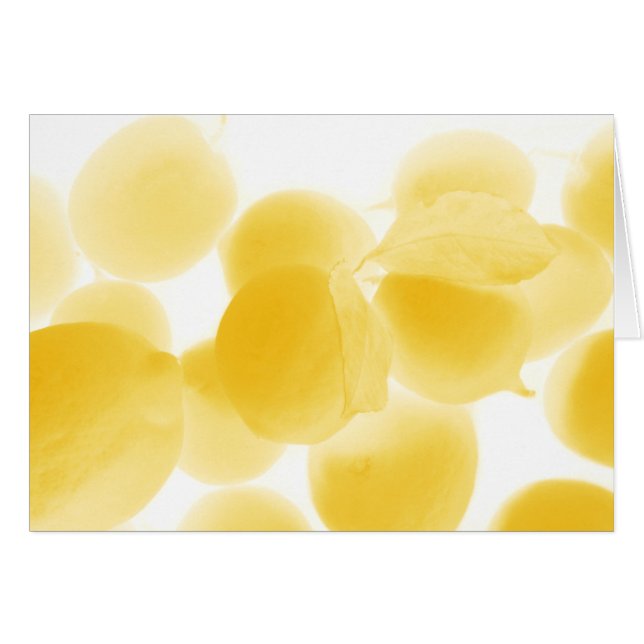 sogno di limone (Front Horizontal)