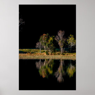 soi ball symmetry scenery reflect poster