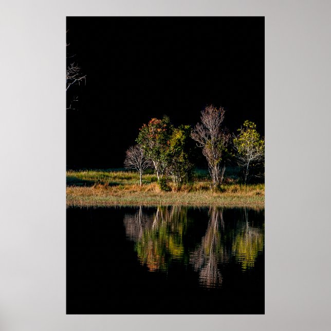 soi ball symmetry scenery reflect poster (Front)