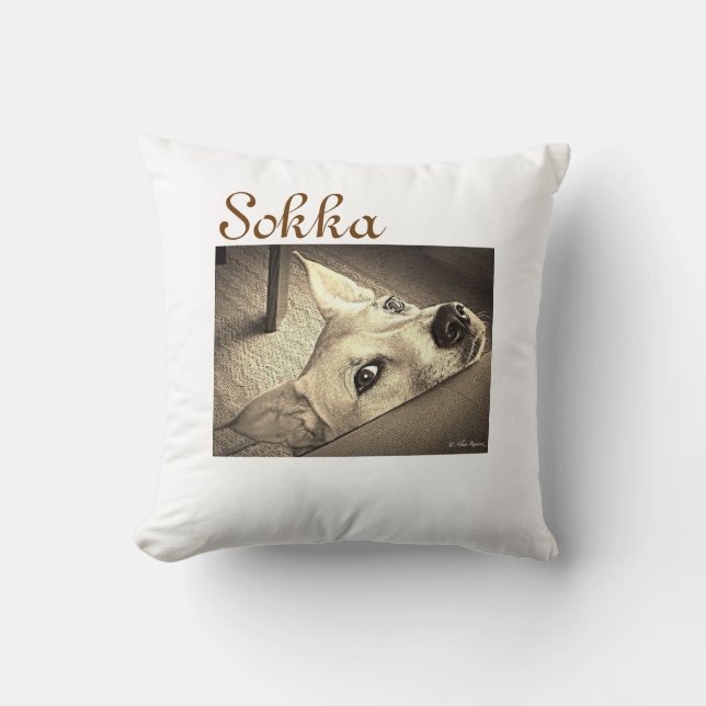 Sokka Neji Pillow (Front)