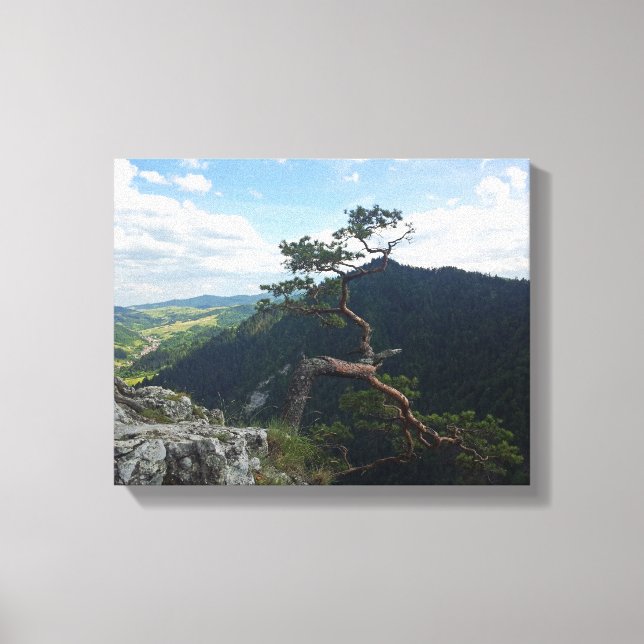 Sokolica, Pieniny Canvas Print (Front)