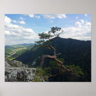 Sokolica, Pieniny Poster