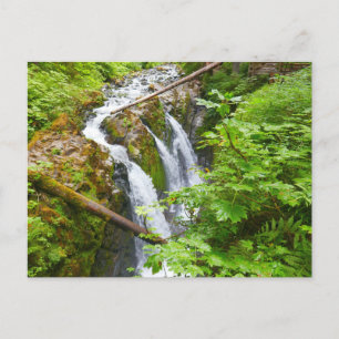 Sol Duc Falls II at Olympic National Park Postcard