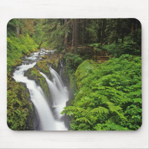 Sol Duc Falls in Olympic National Park in 2 Mouse Mat