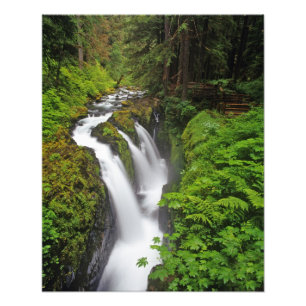 Sol Duc Falls in Olympic National Park in 2 Photo Print