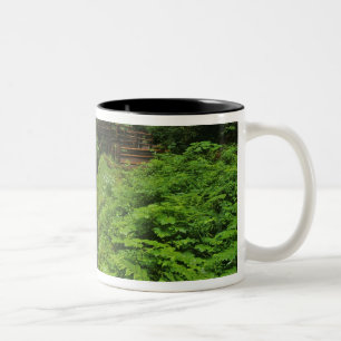 Sol Duc Falls in Olympic National Park in 2 Two-Tone Coffee Mug