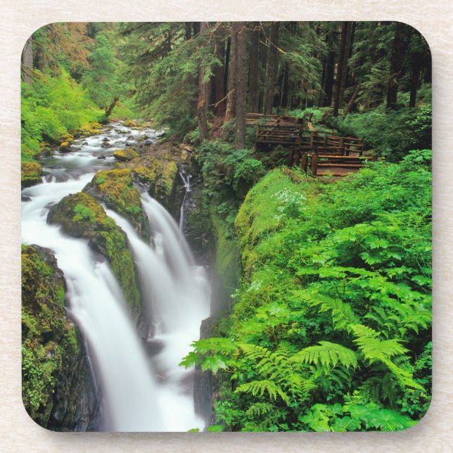 Sol Duc Falls in Olympic National Park in Coaster (Front)