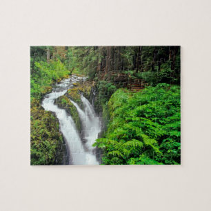 Sol Duc Falls in Olympic National Park in Jigsaw Puzzle