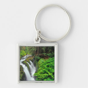 Sol Duc Falls in Olympic National Park in Key Ring