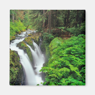 Sol Duc Falls in Olympic National Park in Magnet