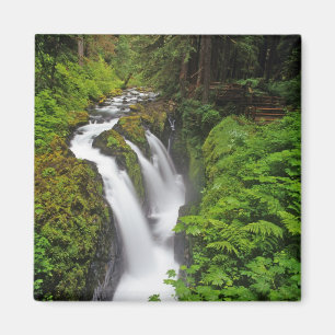 Sol Duc Falls in Olympic National Park in Magnet