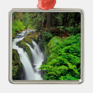 Sol Duc Falls in Olympic National Park in Metal Tree Decoration