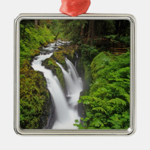 Sol Duc Falls in Olympic National Park in Metal Tree Decoration