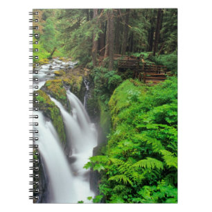 Sol Duc Falls in Olympic National Park in Notebook