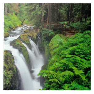 Sol Duc Falls in Olympic National Park in Tile