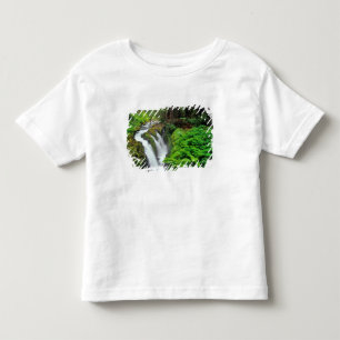 Sol Duc Falls in Olympic National Park in Toddler T-Shirt