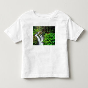 Sol Duc Falls in Olympic National Park in Toddler T-Shirt