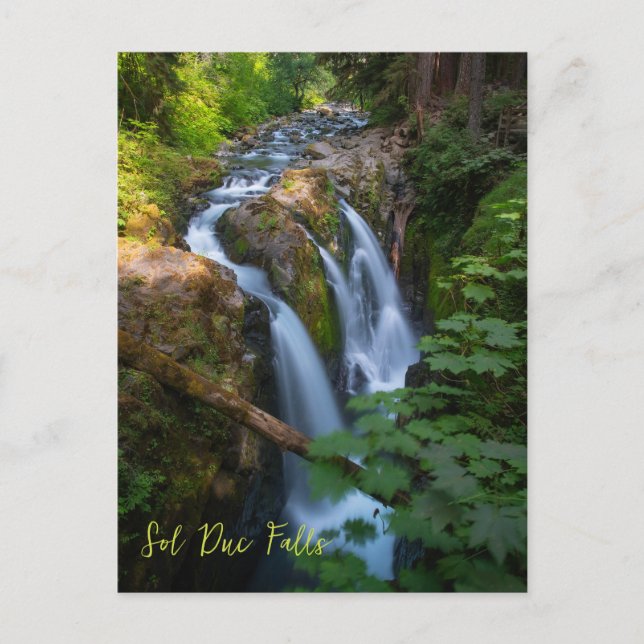 Sol Duc Falls Olympic National Park Washington Postcard (Front)