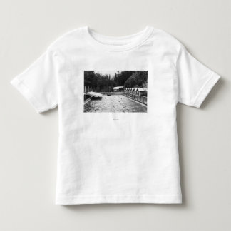 Sol Duc Hot Springs, WA Swimming Pool Photograph Toddler T-Shirt