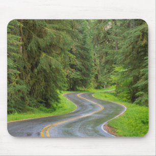 Sol Duc River Road through forest Mouse Mat