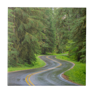 Sol Duc River Road through forest Tile
