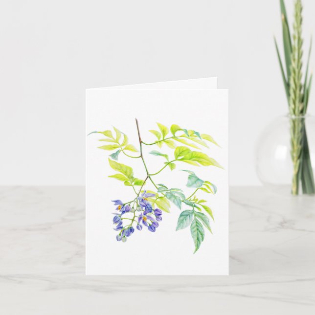 Solanum Potato Creeper Botanical art card (Front)