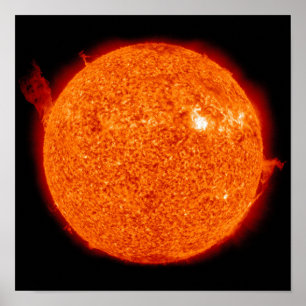 Solar activity on the Sun Poster