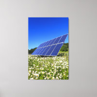 Solar Panels and green meadow