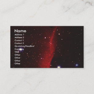 Solar View 25 Business Card