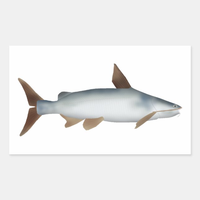Soldier Catfish Rectangular Sticker (Front)