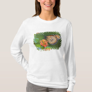 Soldier (Danaus eresimus) butterfly feeding T-Shirt