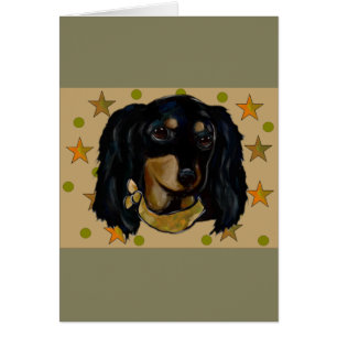 Soldier  Doxie