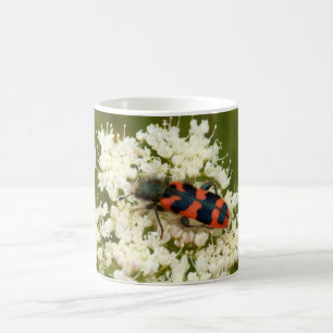 Soldier or Checkered Beetle Bug Mug