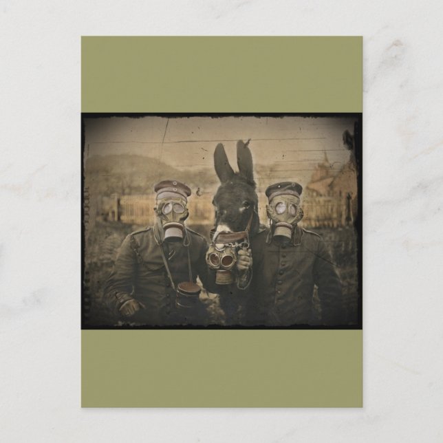 Soldiers Donkey and Gas Masks Postcard (Front)