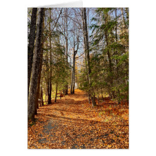 Soldotna Creek Park Autumn - 5" x 7" Art Card