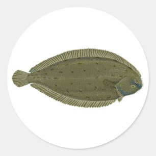 Sole Classic Round Sticker