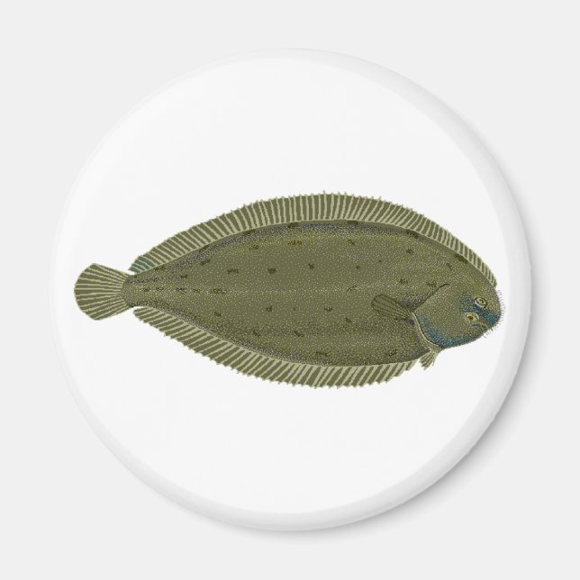 Sole Fish Logo Magnet (Front)
