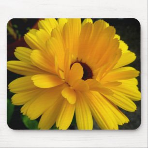 Soleil couchant! mouse mat