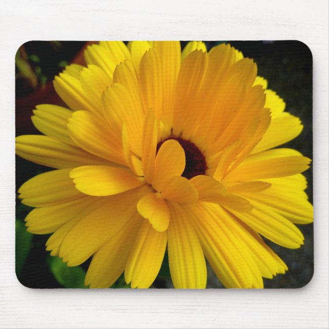 Soleil couchant! mouse mat (Front)