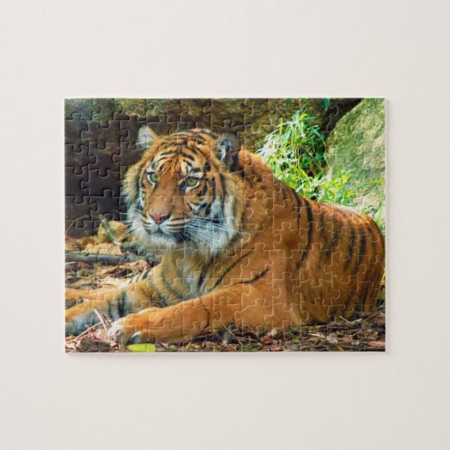 Solemn Tiger Puzzle (Horizontal)