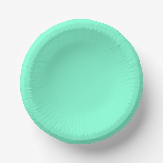 Solid Aquamarine Paper Plate (Front)