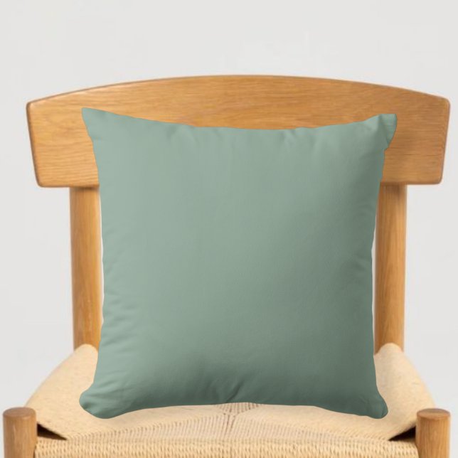Solid color cushion / simple style cushions (Creator Uploaded)