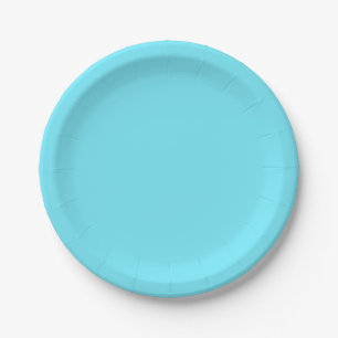Solid color electric light aqua blue paper plate