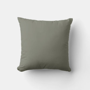 Solid Color Neutral Green Undertone 2026 COTY  Cushion