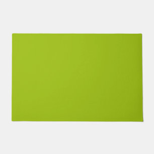 solid color pistachio green doormat