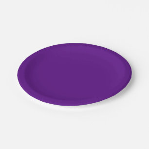 Solid Colour: Purple Paper Plate