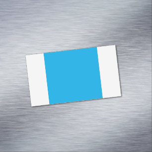 Solid Cyan Blue Background  Magnetic Business Card