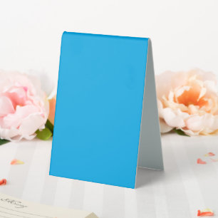 Solid Cyan Blue Background   Summer Minimal Style