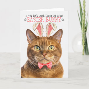 Solid Ginger Cat in Bunny Ears for Easter Holiday Card